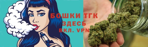 тгк Богданович