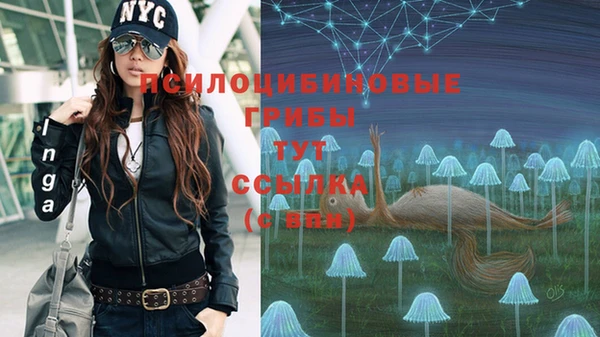 тгк Богданович