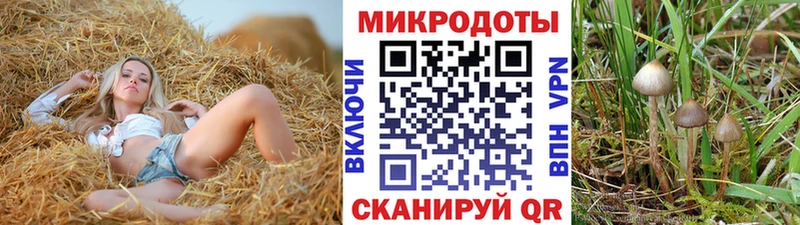 Галлюциногенные грибы ЛСД  Карачев 
